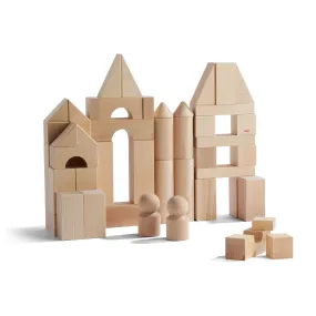 Basic Building Blocks 60 Piece Large Starter Set