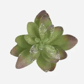 Cactus Succulent Clip Green/Silver SML