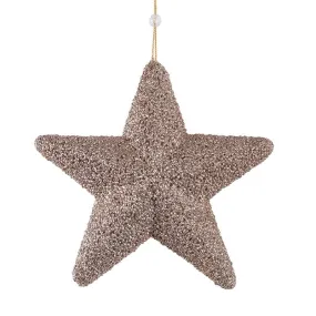 Champagne Hanging Star (25cm)